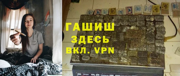 прущие грибы Верея